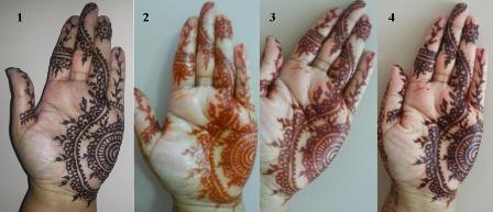 Colour Changes over 3 days